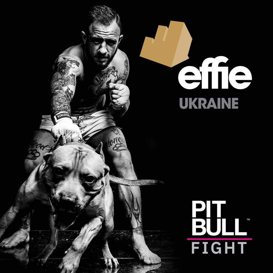 Pit Bull Fight получил Effie Awards Ukraine в номинации «Брендированный контент и услуга»