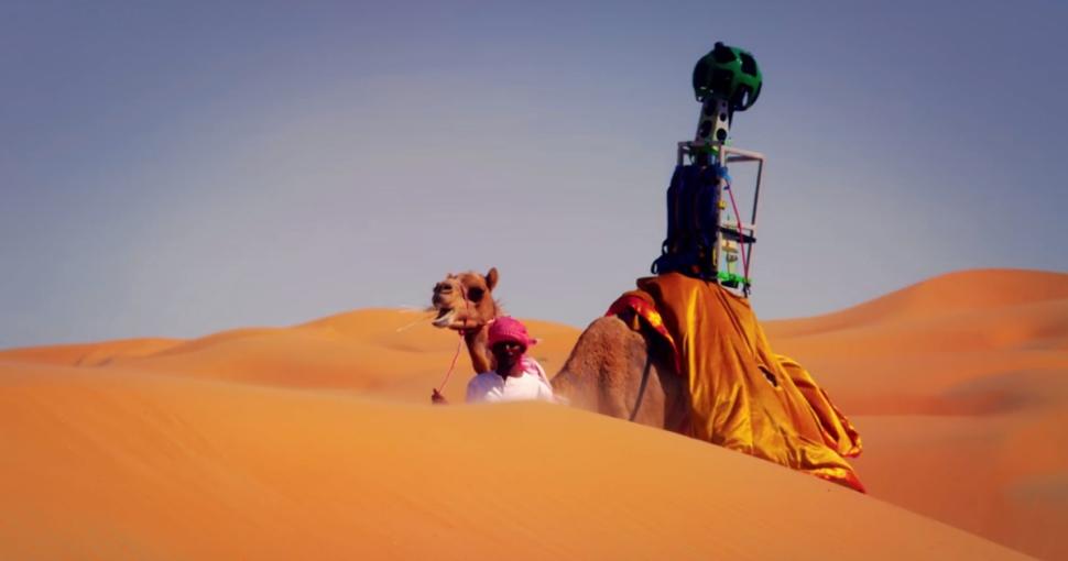 Верблюд вам в помощь! (ВИДЕО)