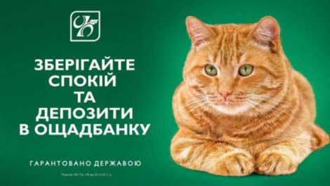 Кот как символ спокойствия