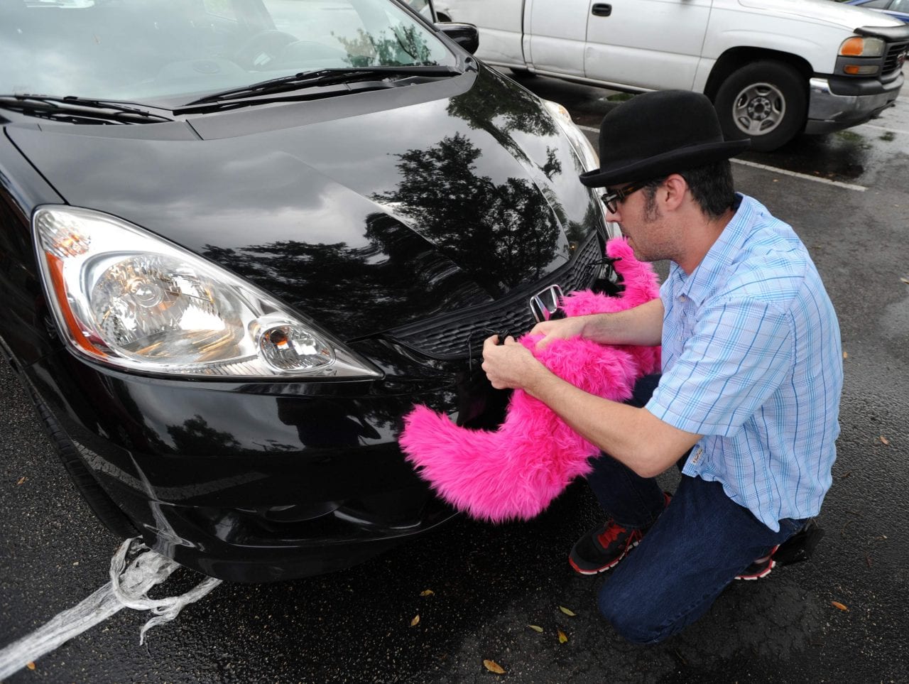 Усатая поездка (ВИДЕО)