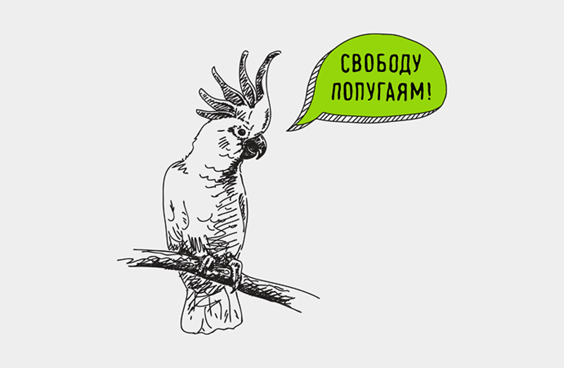 Крокодилы-бегемоты, обезьяны-кашалоты…