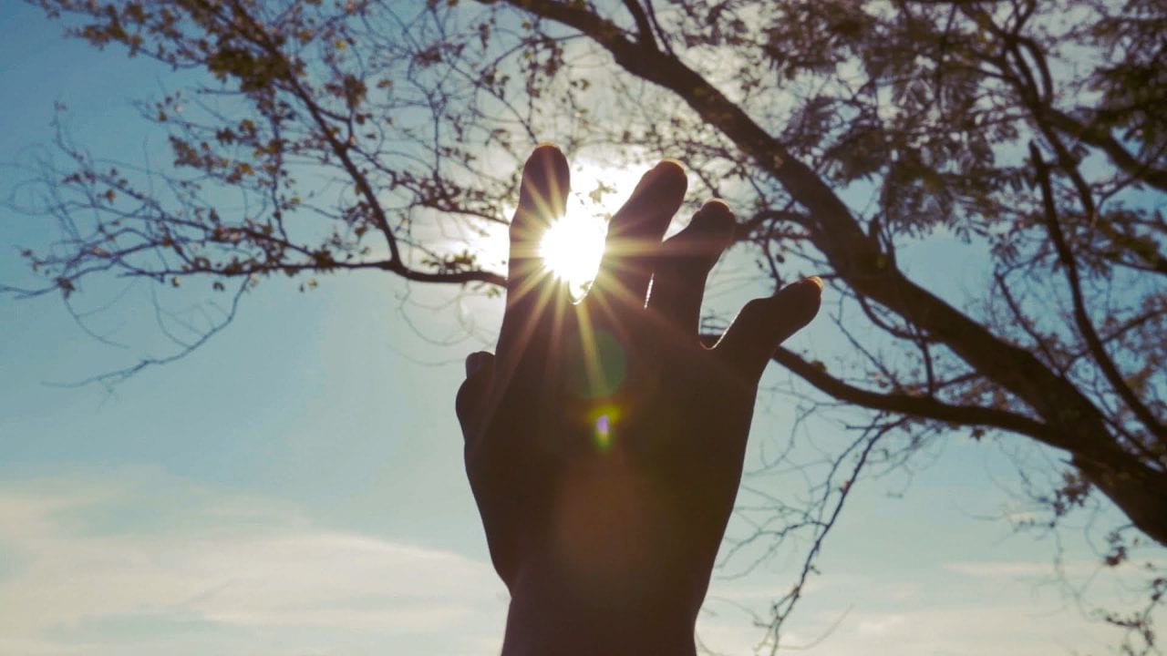 Ода рукам человеческим (ВИДЕО)