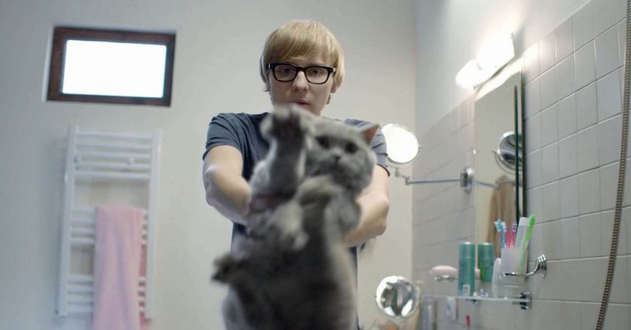 Как выкупать кота без последствий(ВИДЕО)