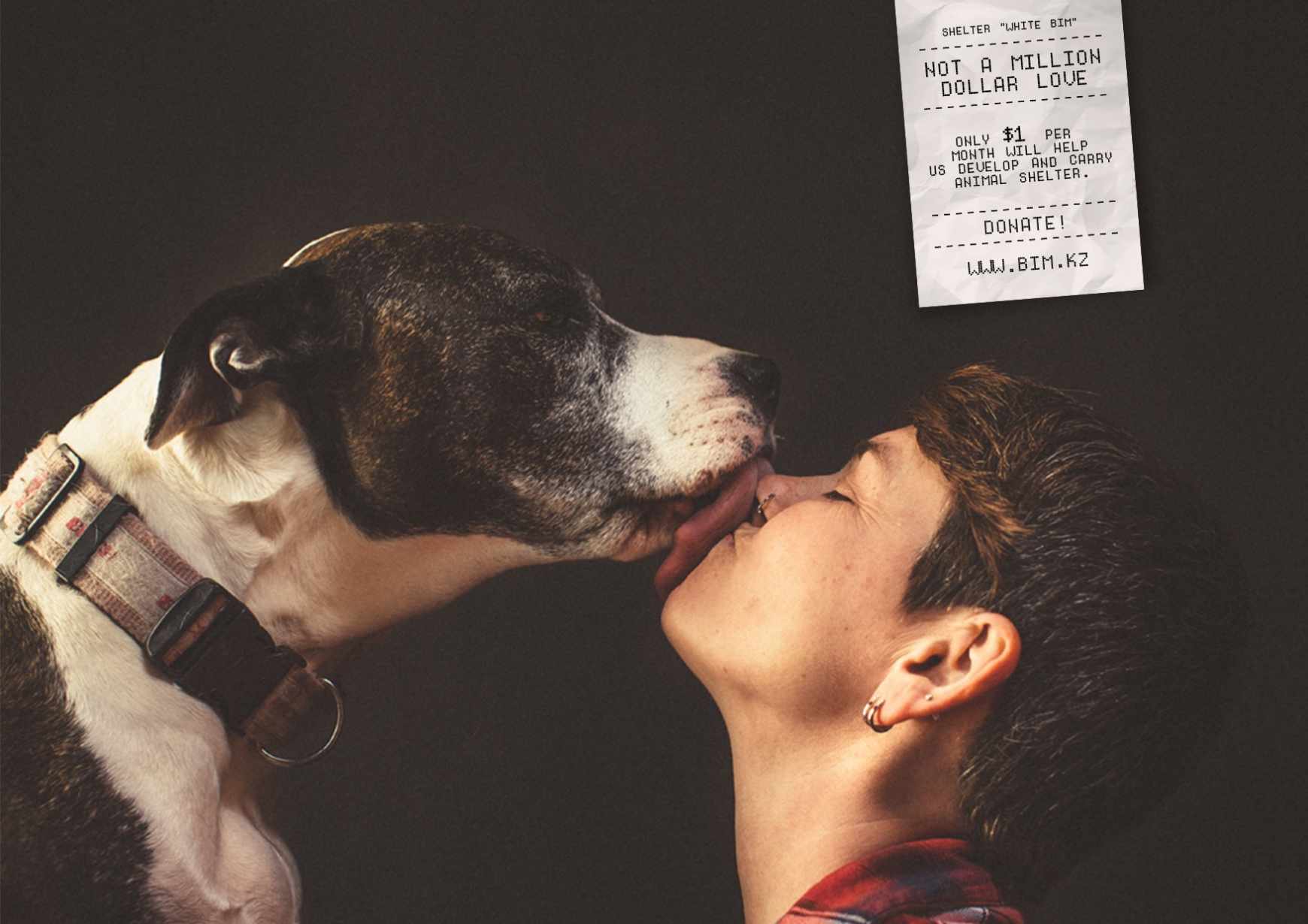 Собачий поцелуй