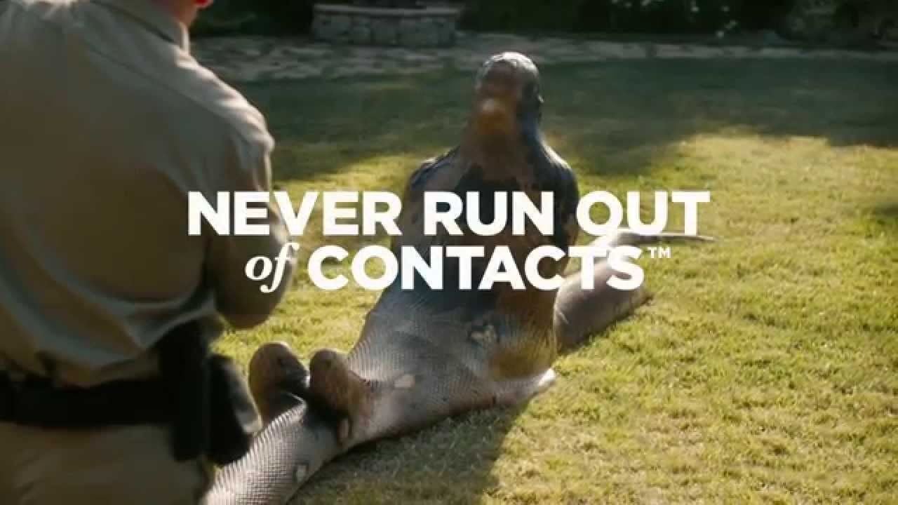 У страха глаза велики, особенно близорукие (ВИДЕО)