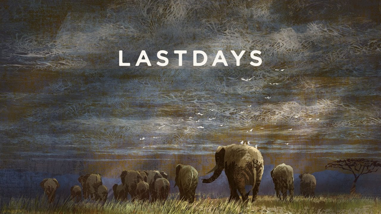 Слоны и терроризм (ВИДЕО)