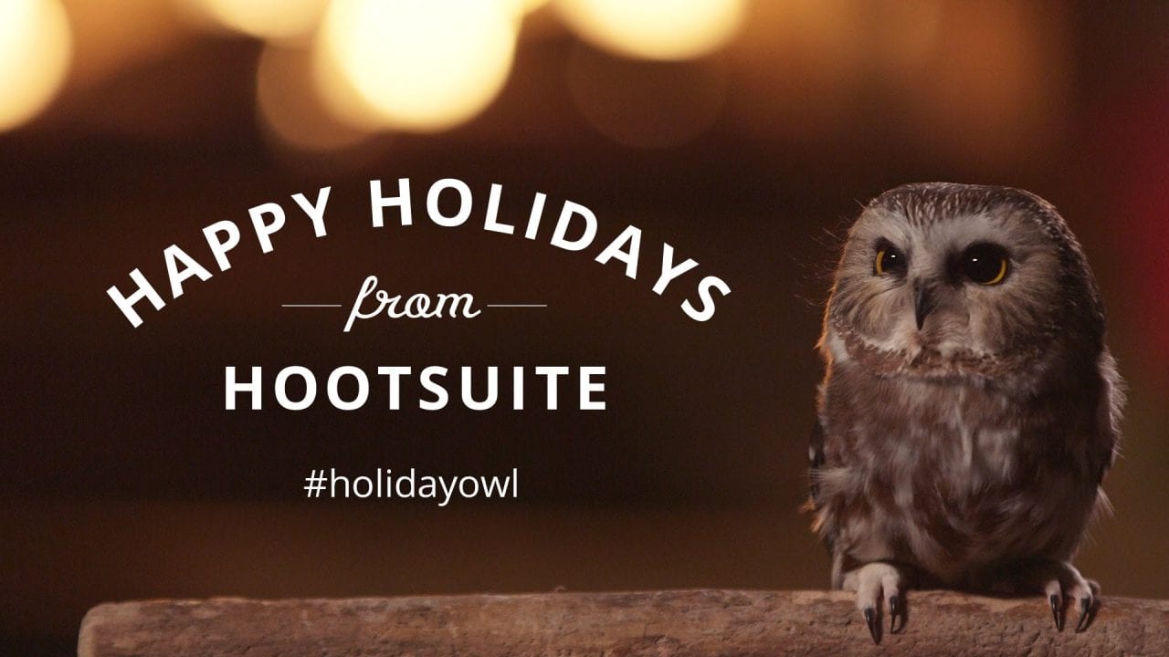 Тепло и свет притягивают всех (ВИДЕО)