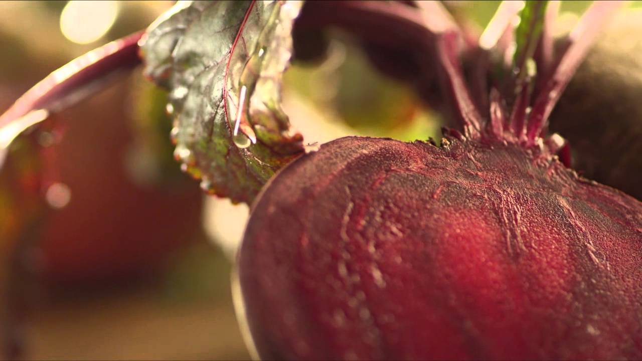 Борщ – как настоящий (ВИДЕО)