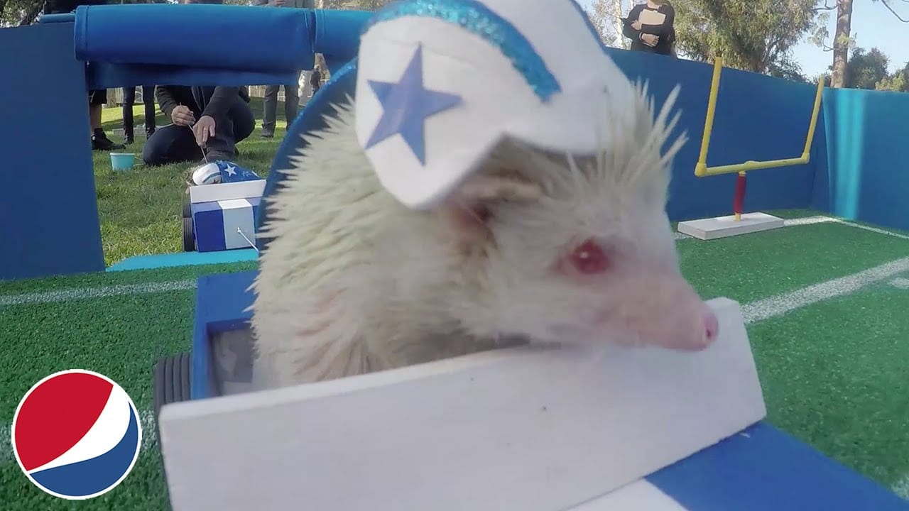 Halftime Show в стиле мимими (ВИДЕО)