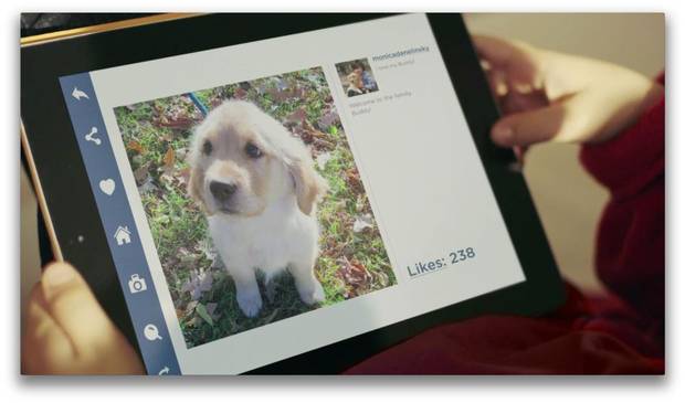 Пофоткал и бросил? (ВИДЕО)