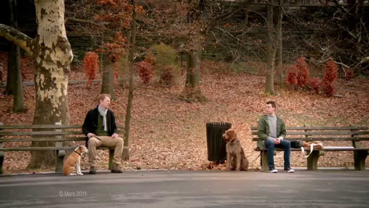 Собачья мелодия на флейте (ВИДЕО)