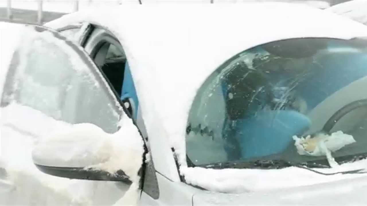 Акулы снова в деле (ВИДЕО)