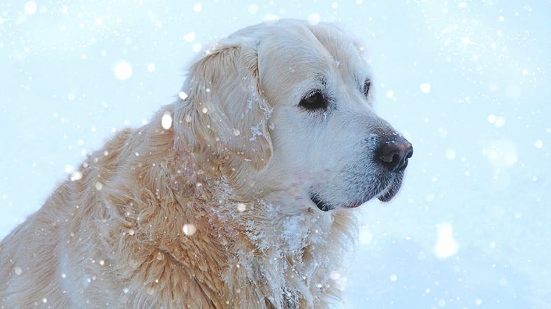 Слух на деньги: умение слушать в продажах