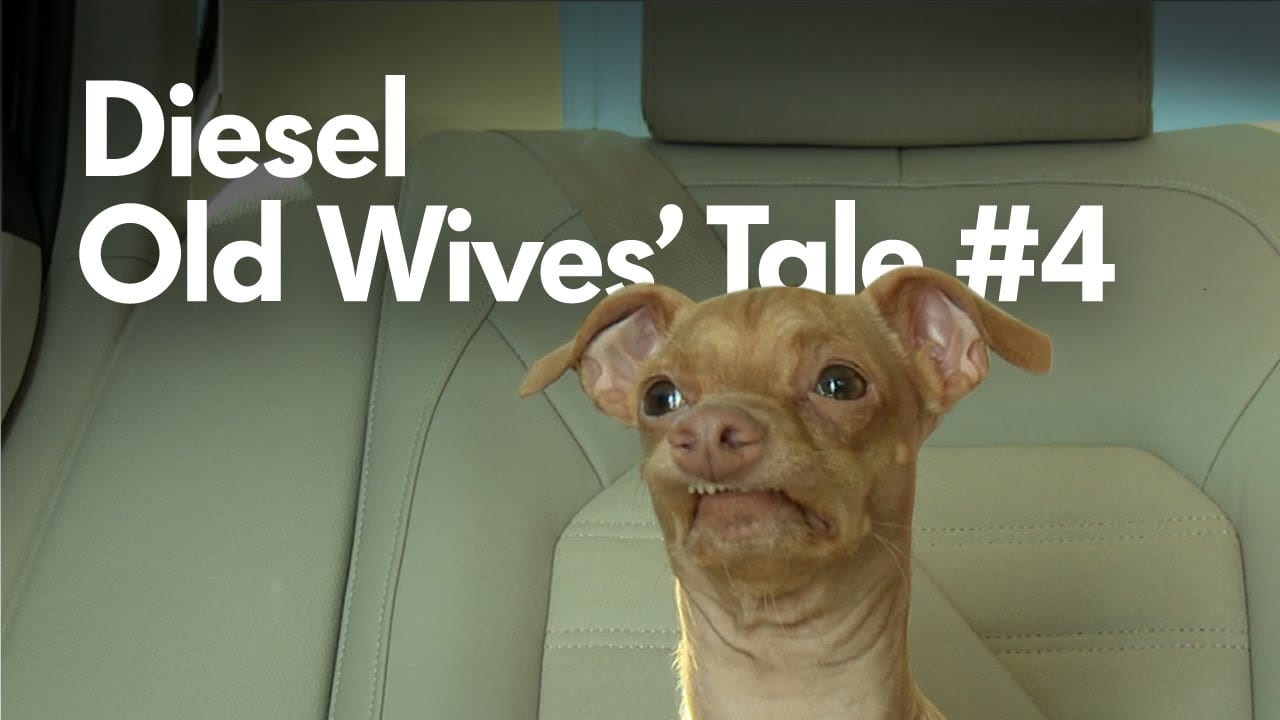 Дизель не пахнет (ВИДЕО)