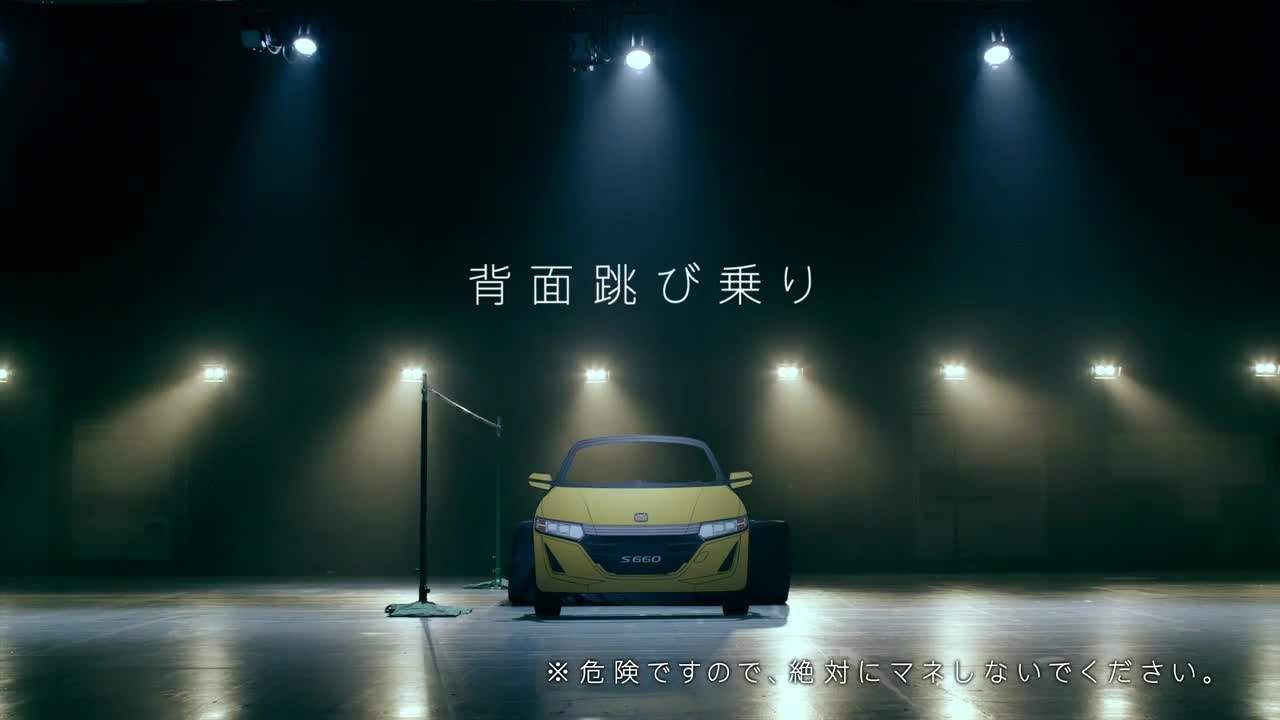 Экстремальная посадка… в автомобиль (ВИДЕО)