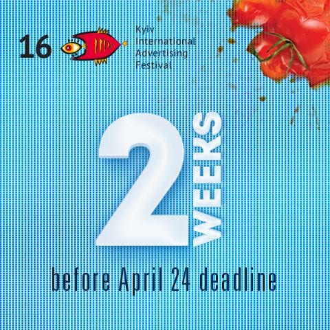 КМФР: две недели до дедлайна