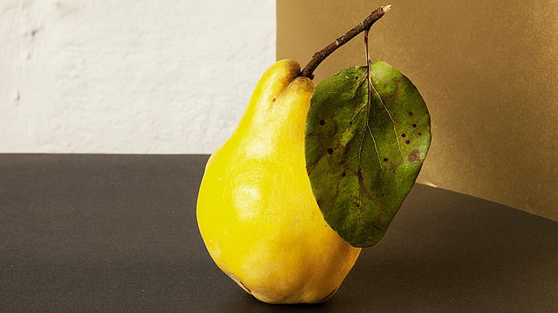 USP или УТП: Уникальное Торговое Предложение