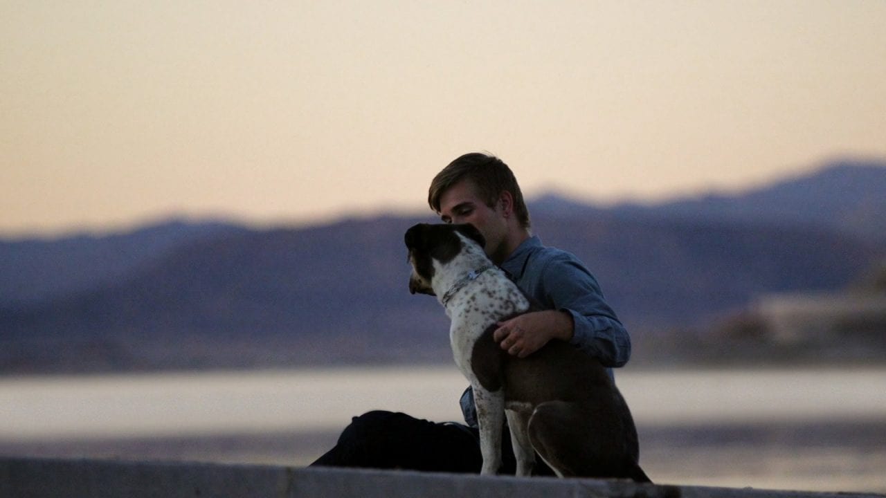 Четверолапый психотерапевт (ВИДЕО)