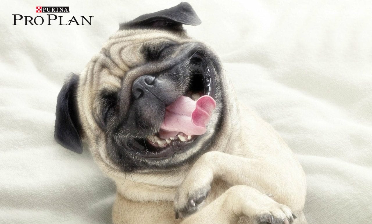 Забота о тех, кто дорог