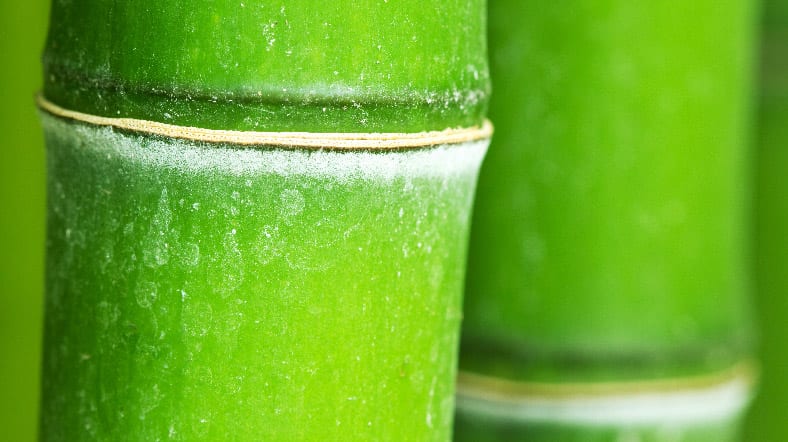 Маркетинговые стратегии роста: краткий практический анализ