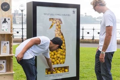 Лимон вместо Фейри