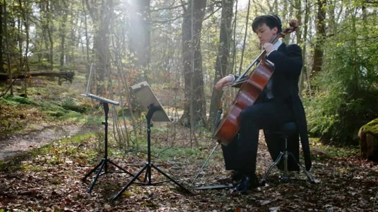 Оркестр в удаленном режиме (ВИДЕО)