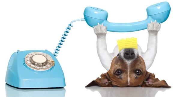 5 шагов к прозрачной аналитике звонков с рекламы