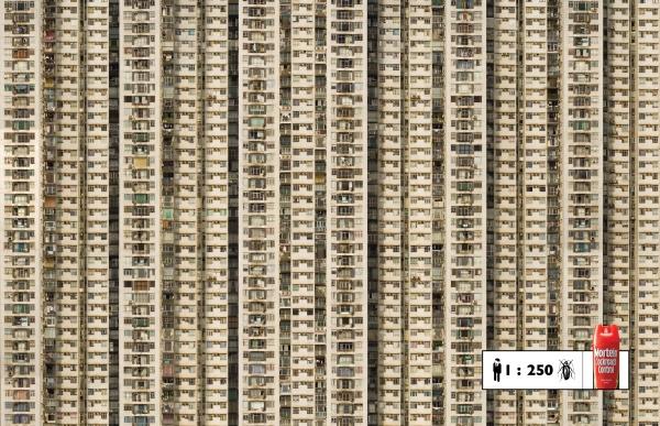 Тараканы на любимых страницах (ВИДЕО)