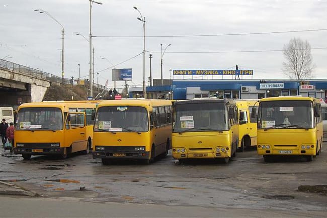 Доедут все! (ВИДЕО)