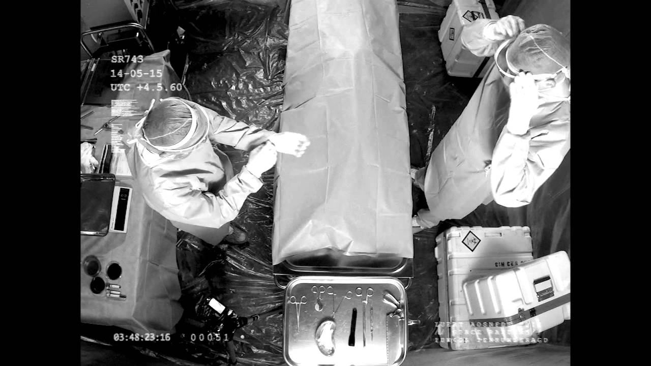 А что у него внутри? (ВИДЕО)