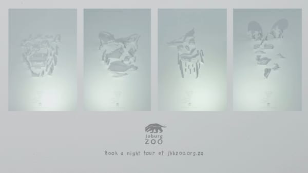 Хочешь узнать, кто выходит по ночам? (ВИДЕО)