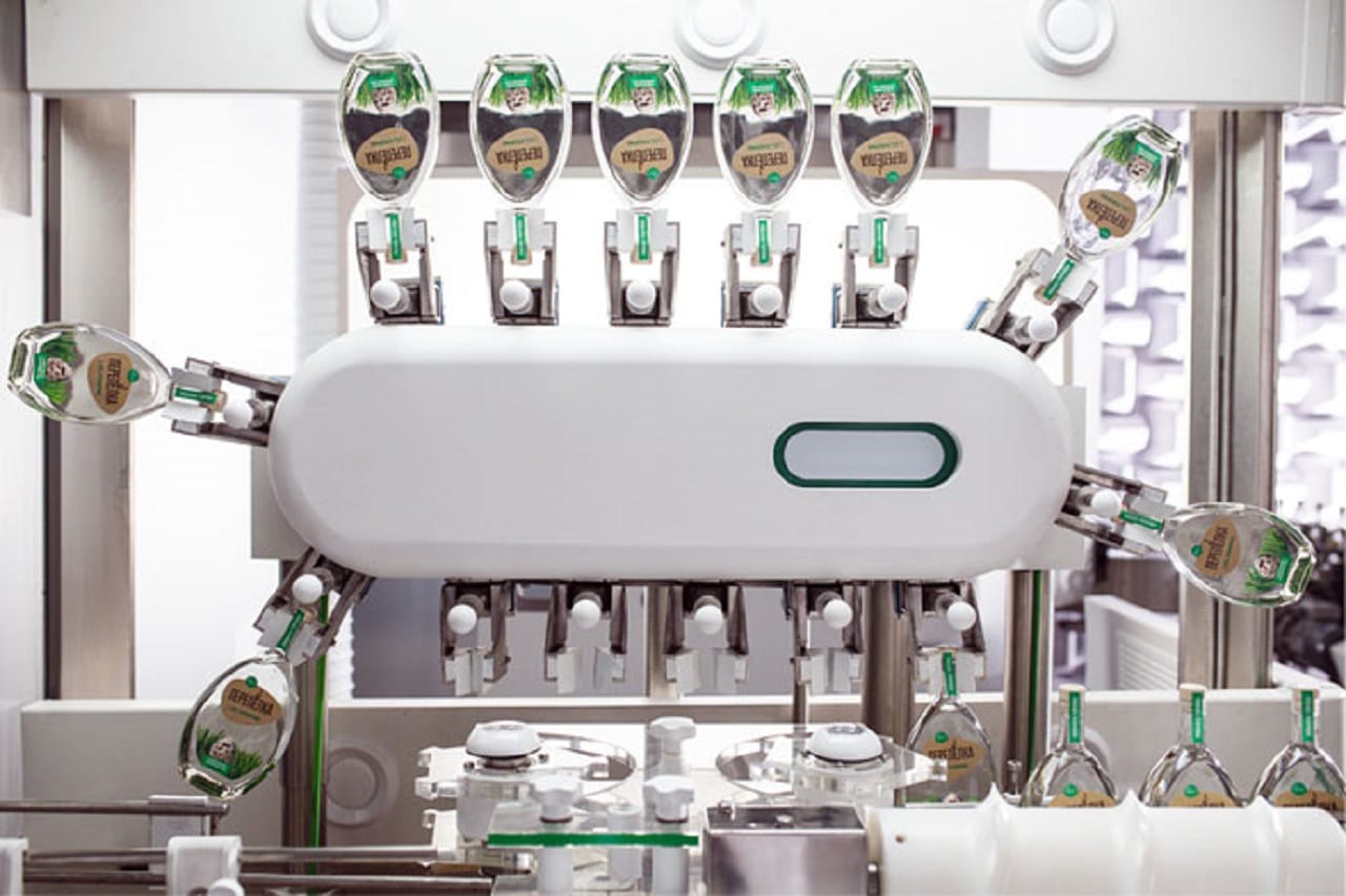 Так вот ты какая, перепелка будущего! (ВИДЕО)