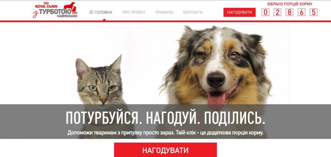 Поделись и накорми!