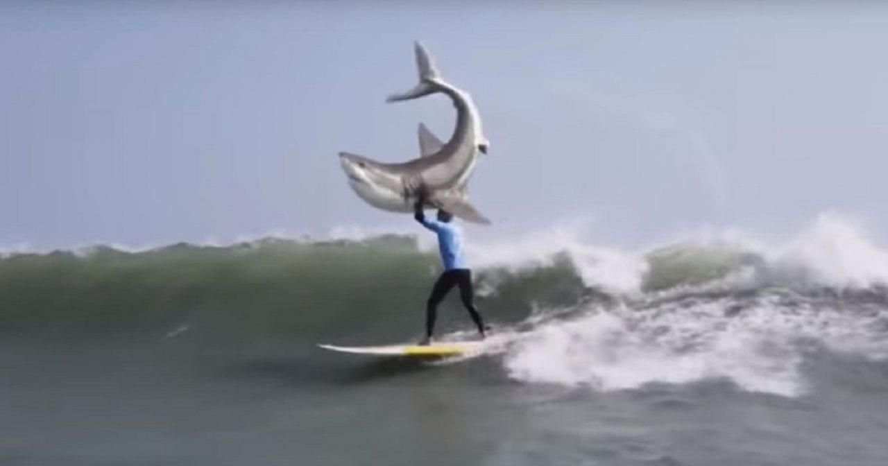 Неуважительный ролик с акулой (ВИДЕО)