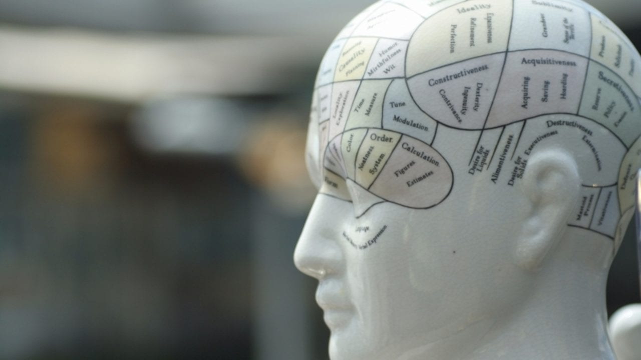 Увлечения, которые качают мозг (инфографика)