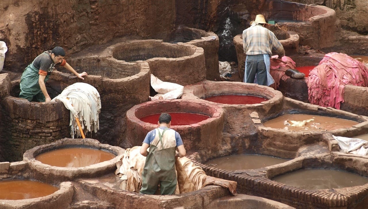 Кожа ничейной не бывает! (ВИДЕО)