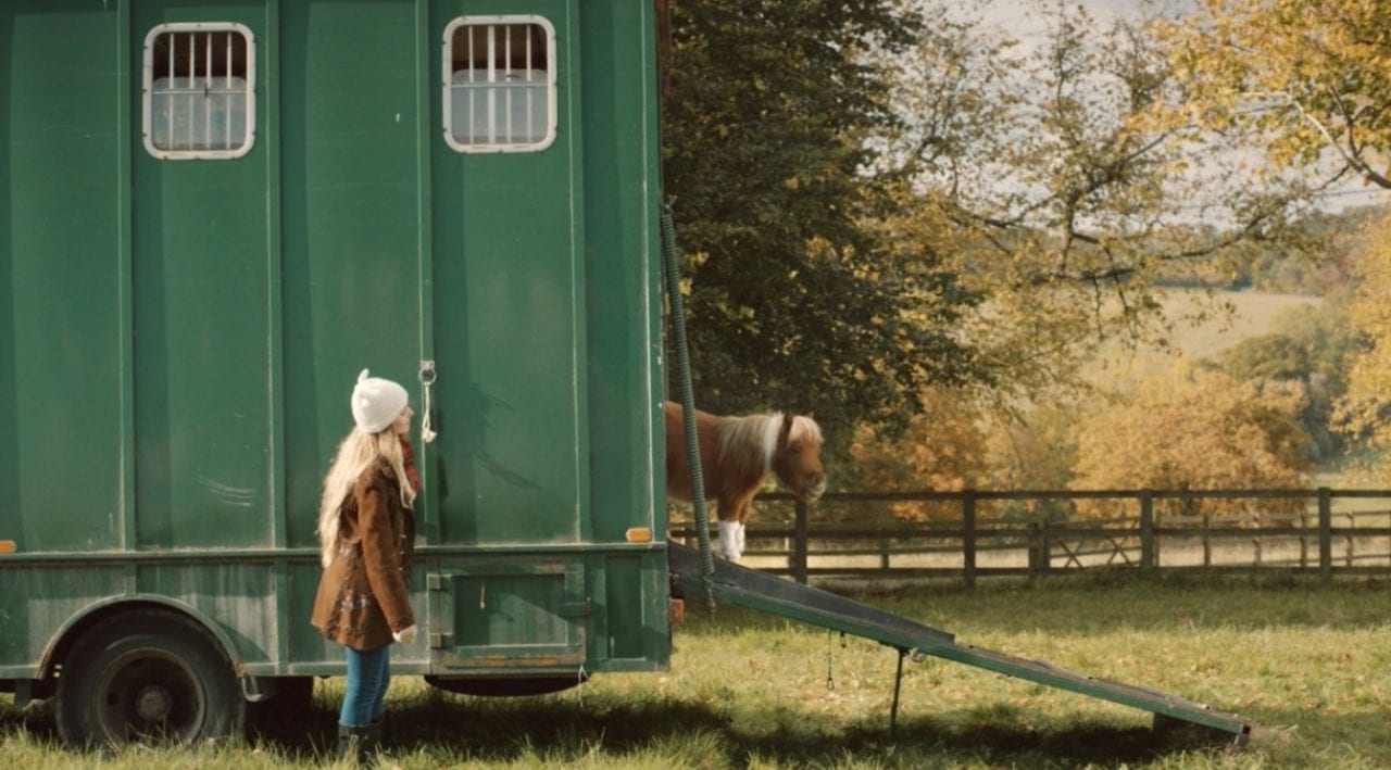 А пони тоже кони (ВИДЕО)