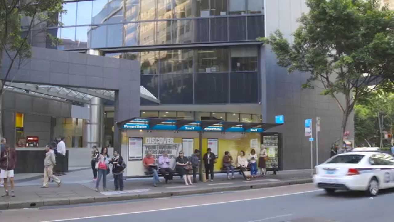 Пиво живет на остановках(ВИДЕО)