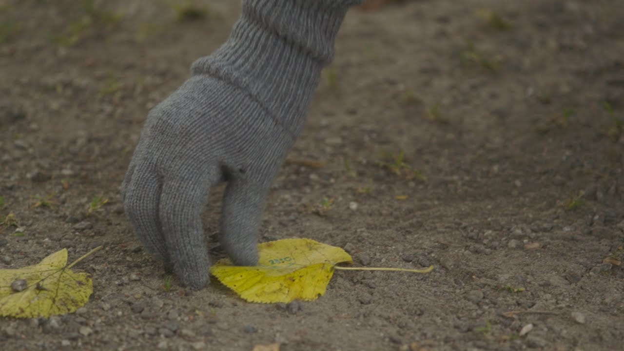 Падают листья, как письма (ВИДЕО)