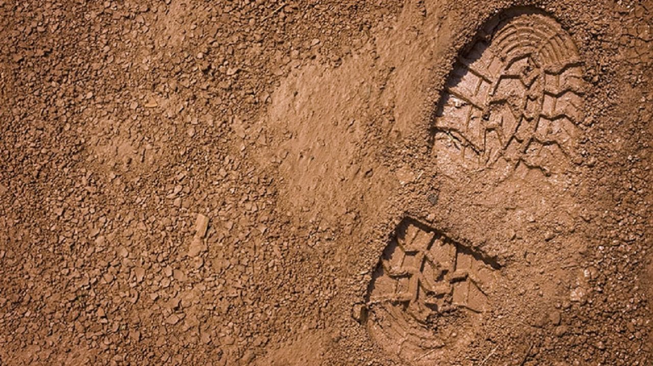 Главный секрет эффективных техник запоминания