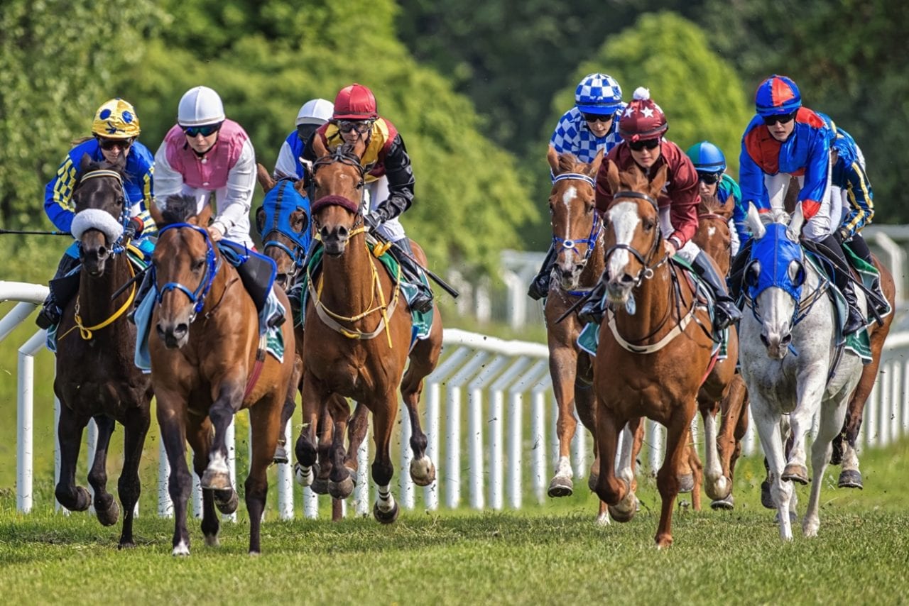 Как малый бизнес может сегодня отбрить мегакорпорации