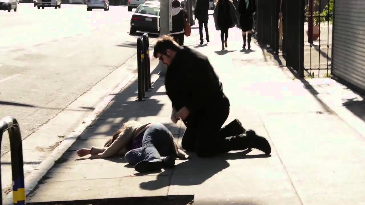 Почувствуй себя овцой! (ВИДЕО)