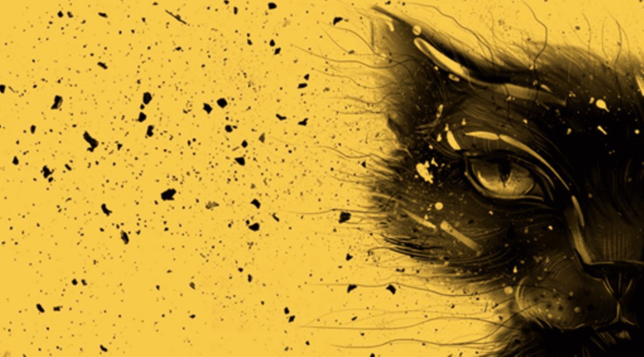 DELL выбрал украинского кота