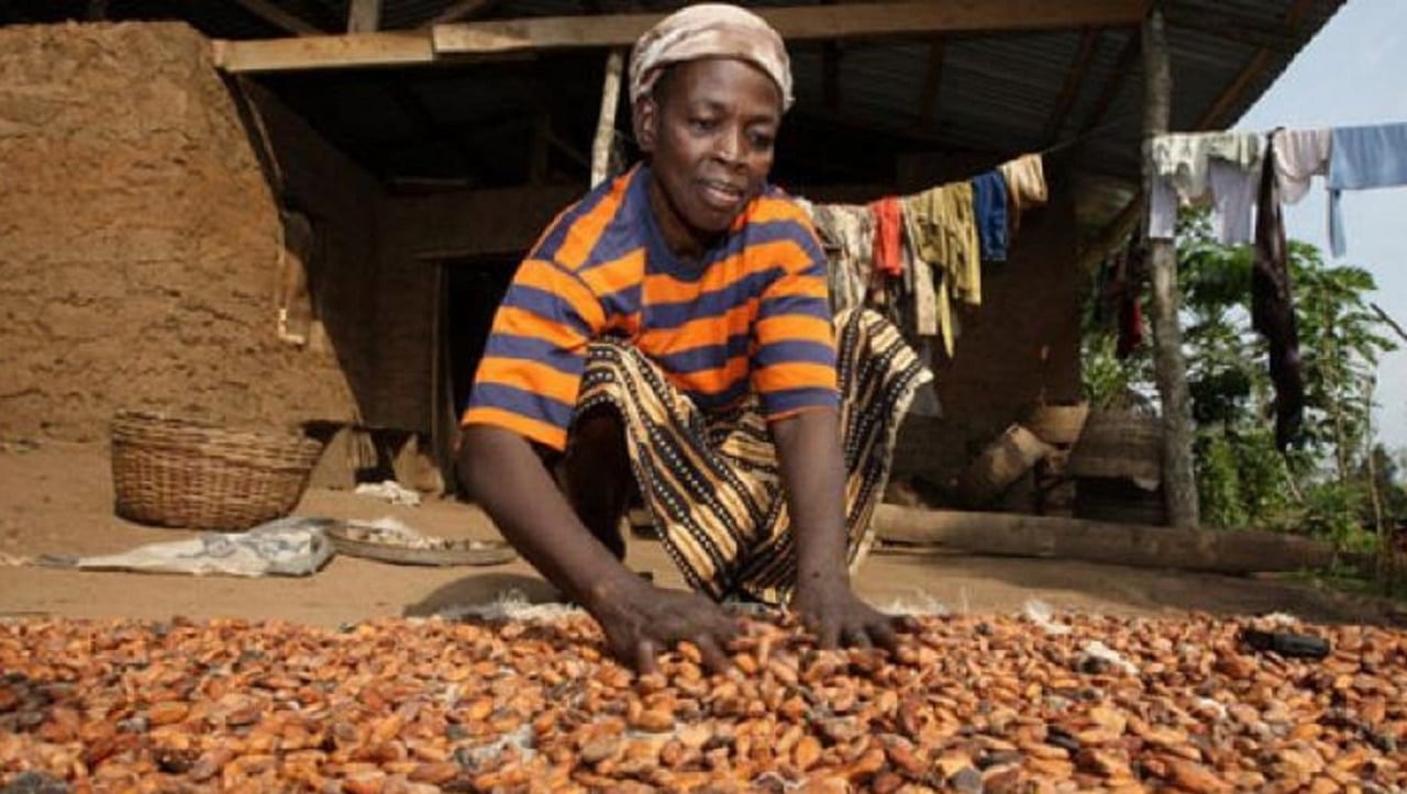 Детский труд и конкурентная борьба