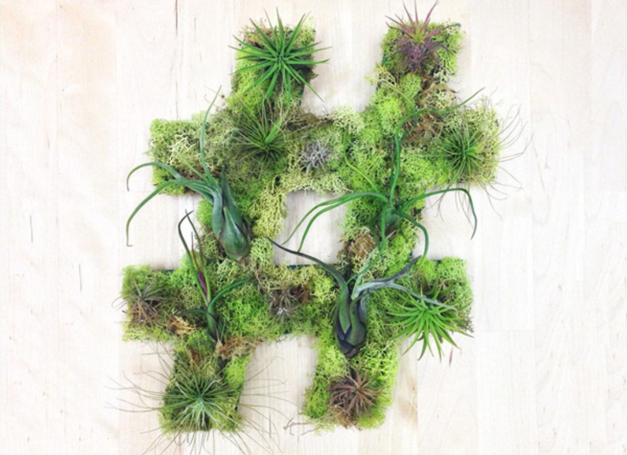 Зеленые хэштеги