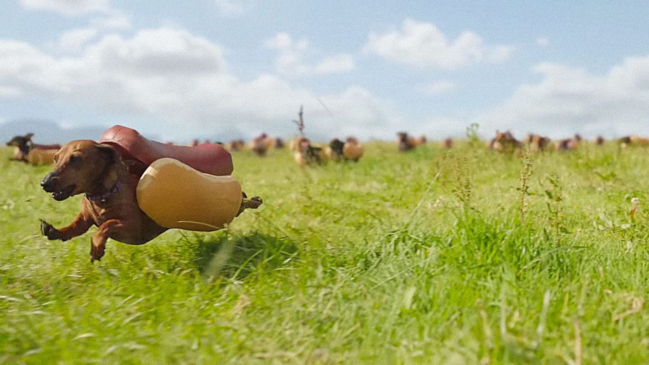 Хот-доги на четырех лапах (ВИДЕО)