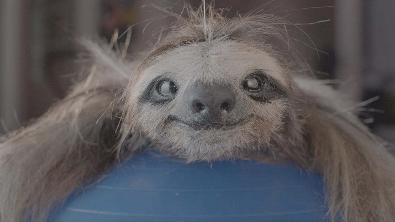 Как избавиться от стресса и не стать овощем (ВИДЕО)