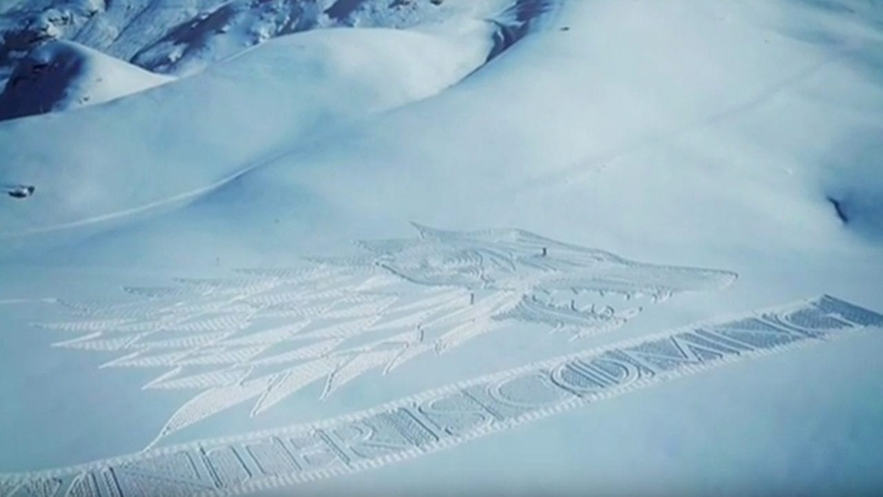 Волк на снегу (ВИДЕО)