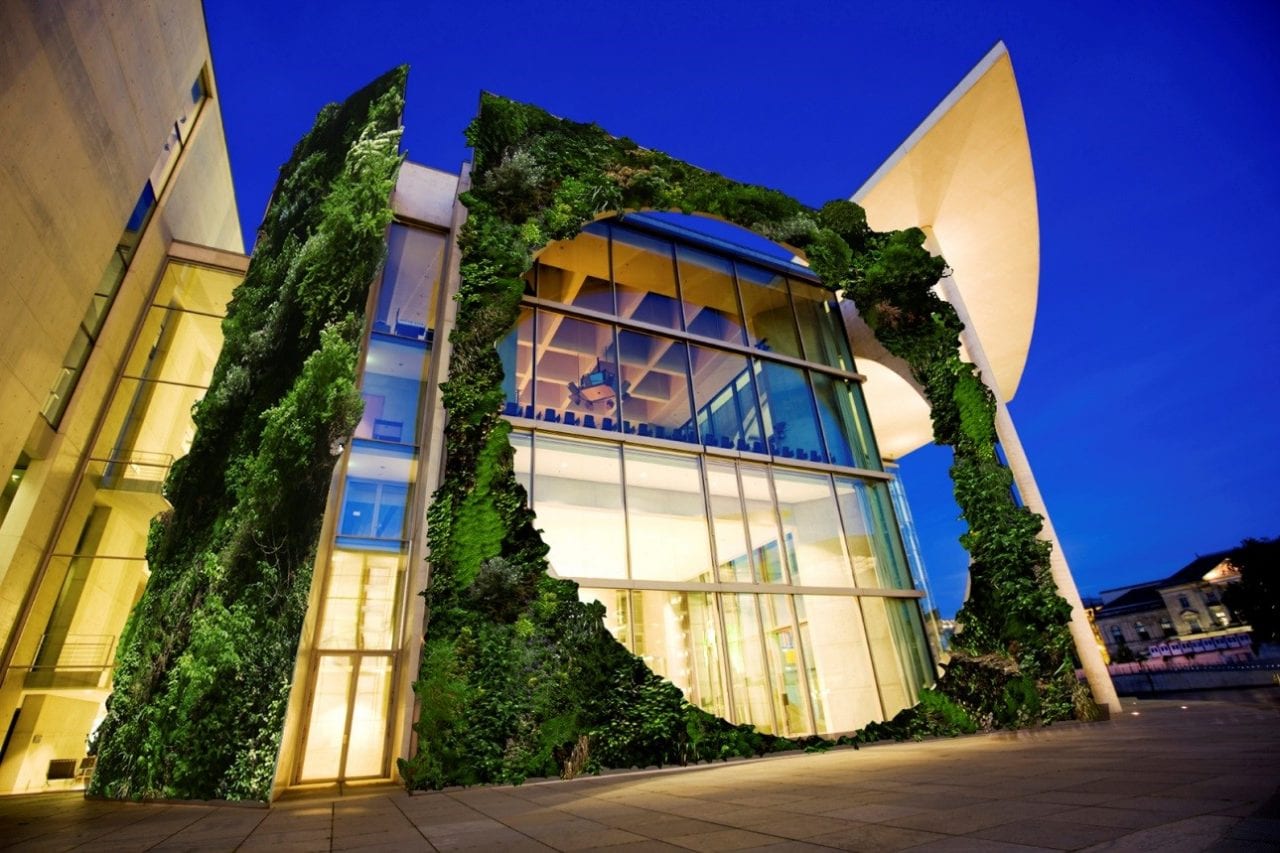 Фитодизайн: живое творчество