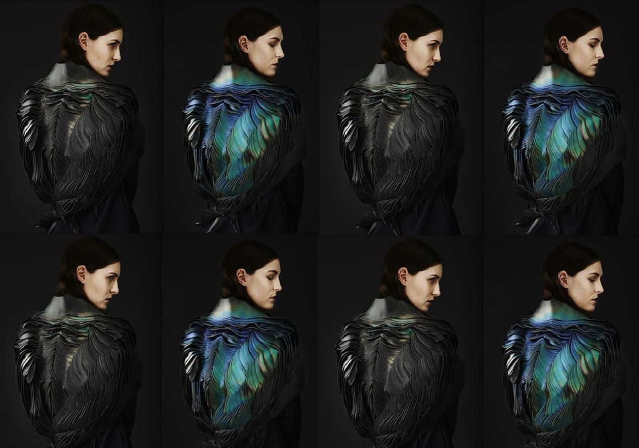 Одним ли цветом зимой и летом? (ВИДЕО)